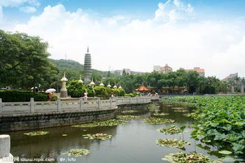 廈門旅游-南普陀
